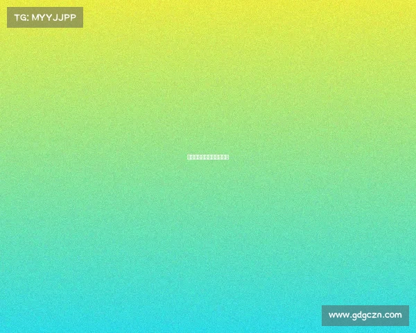 腾云驾雾，天空龙竞逐巅峰